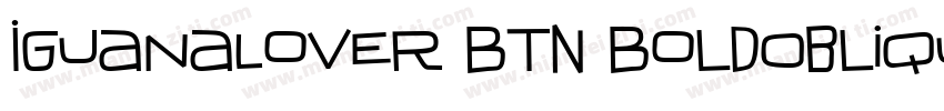 IguanaLover BTN BoldOblique字体转换